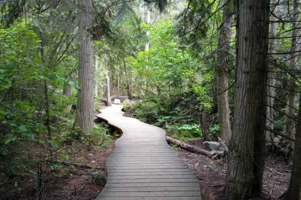 Mill Creek Regional Park