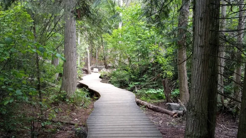 Mill Creek Regional Park