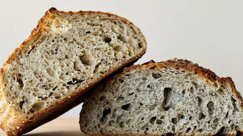 Alchemy Bread Company