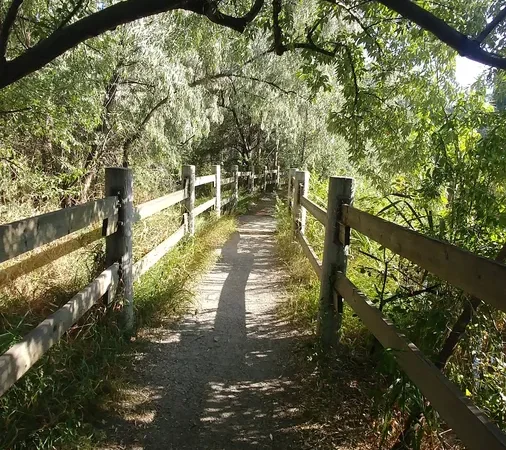 Chichester Wetland Park