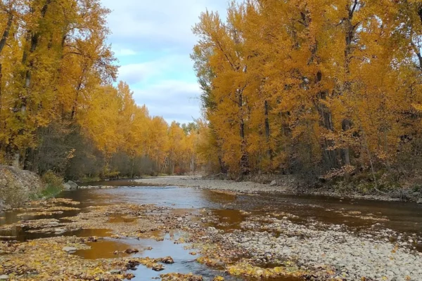 Mission Creek Greenway Regional Park