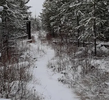 Woodhaven Nature Conservancy Regional Park