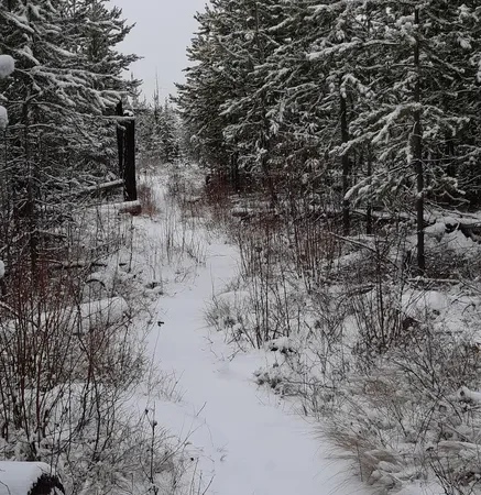 Woodhaven Nature Conservancy Regional Park