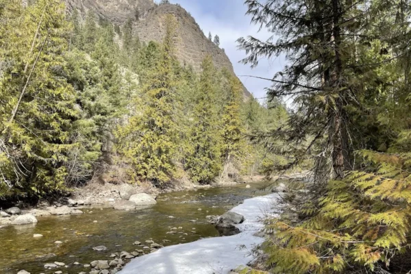 Scenic Canyon Regional Park