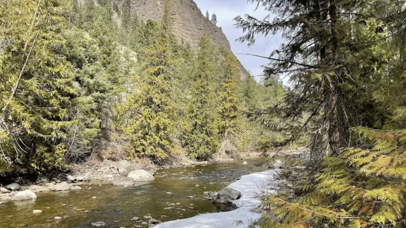 Scenic Canyon Regional Park