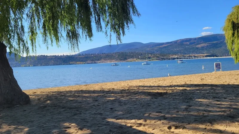 Strathcona Beach Park