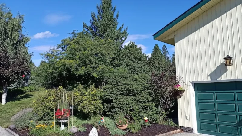 A View of the Lake Bed & Breakfast