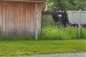 Tuscany Orchard RV Park