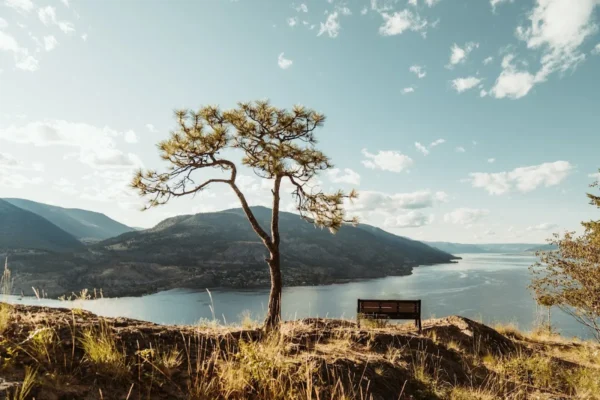 Knox Mountain Dentistry