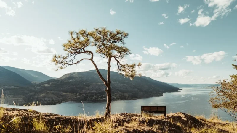 Knox Mountain Dentistry