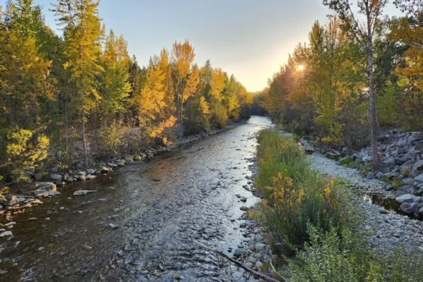 Mission Creek Regional Park
