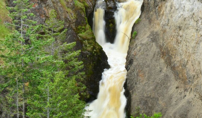 Bear Creek Campground