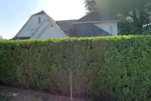 Kelowna Lakeside Massage